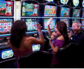 新普京com电脑免费版