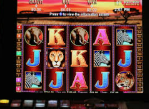 新普京com免费版