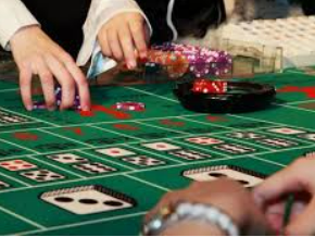 新普京com正式版